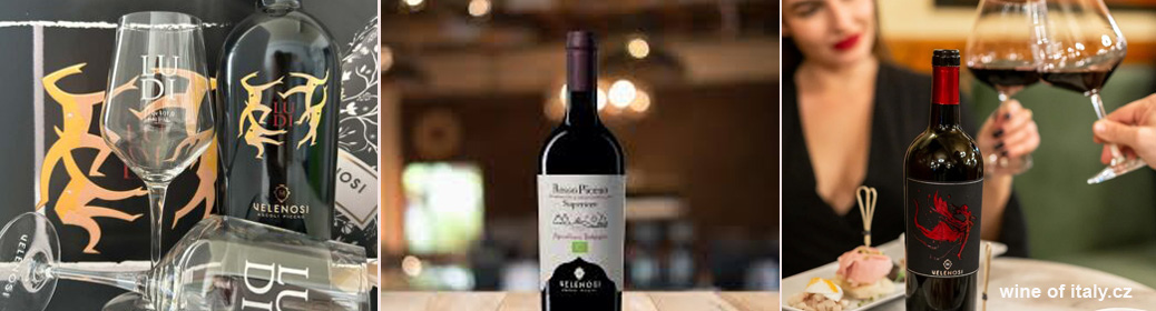 top vína z velenosi vini
